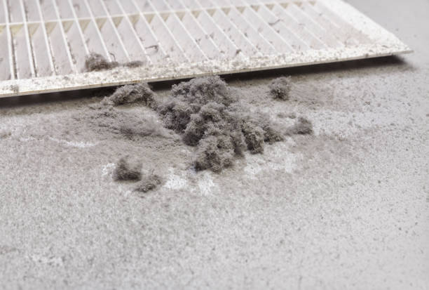Best Best Air Duct Cleaning Company  in Gorman, NC