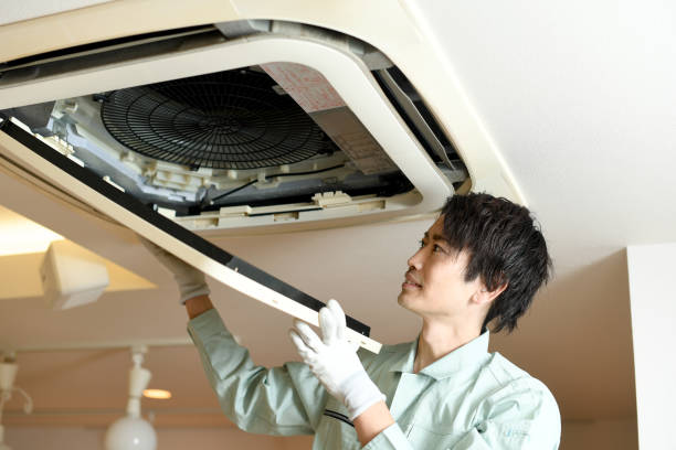 Best Air Duct Mold Removal  in Gorman, NC
